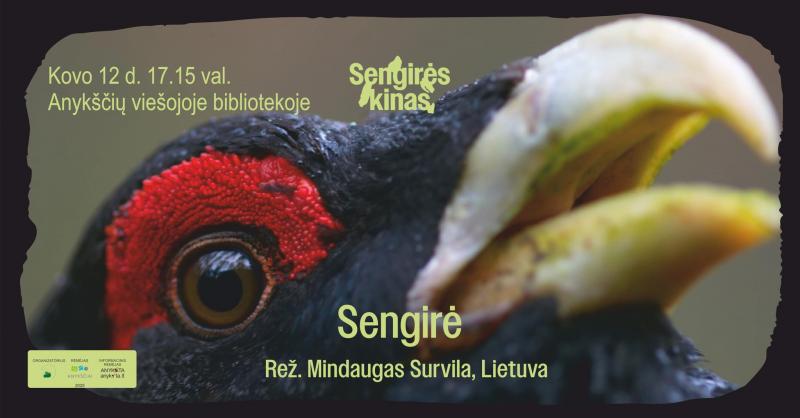 Mindaugas Survila „SENGIRĖ“ (2017 m., Trukmė: 66 min)